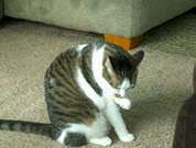 2011-07-11_17-11-48_998