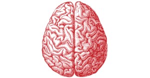 Brain_picture