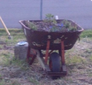 IMG_20150419_195956_849